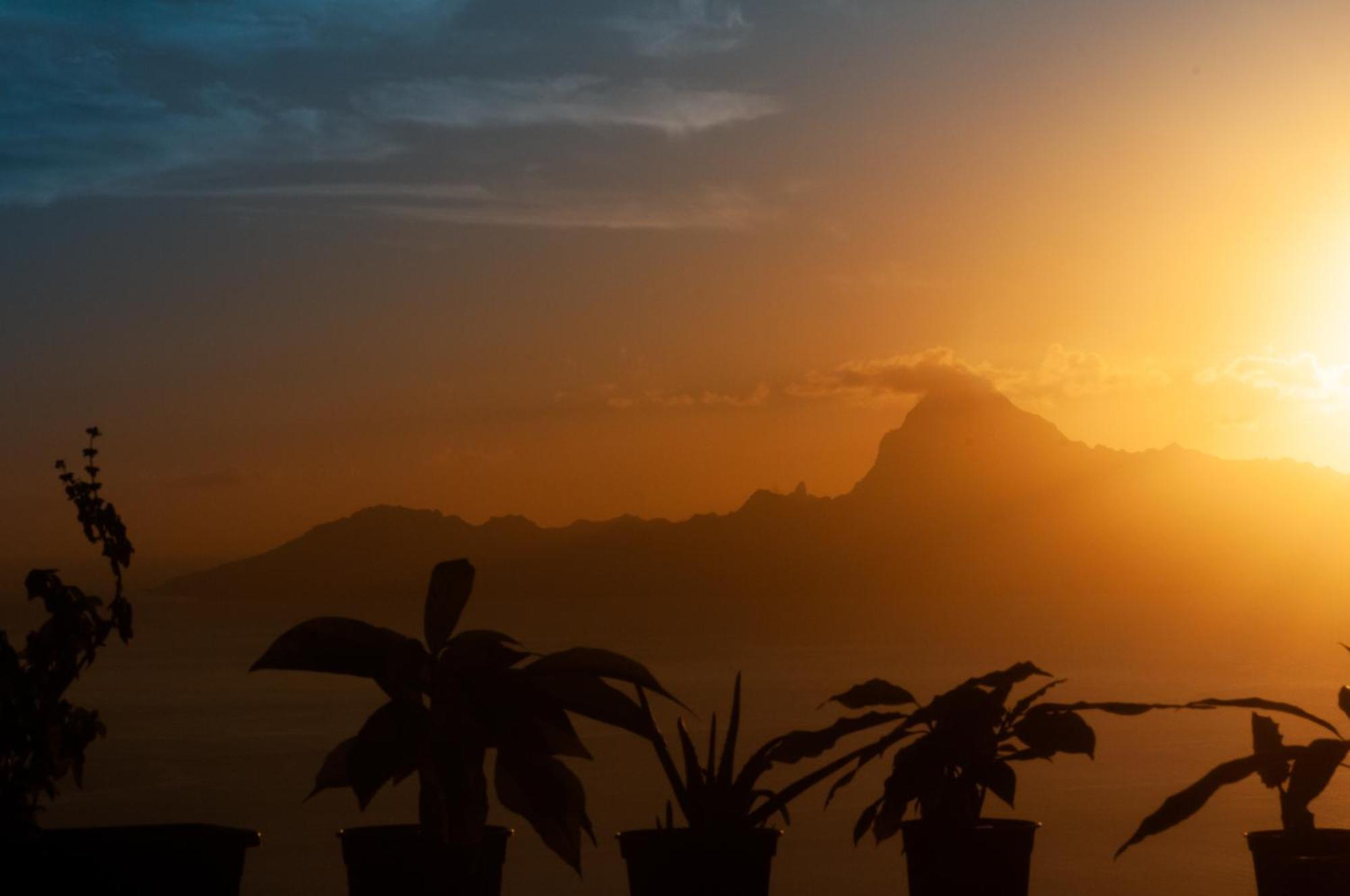 Vue Sur Moorea Leilighet Punaauia  Eksteriør bilde